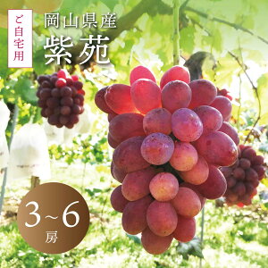 y9/4()20X^[g 7,300~6,570~z R Ԃǂ Mtg   p 3`6[ 2kg t  ~ɐHׂԂǂ p 10{o _ Yn Ȃ 햳 ʕ 