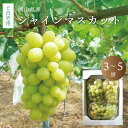 【9月中旬以降発送予定】自宅用 シャインマスカット 2kg 前後 3～5房 ぶどう 種無し 皮ごと食べられる 岡山 ご自宅用 訳あり 北海道沖縄一部地域配送不可