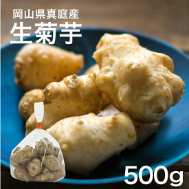 【11月上旬以降発送予定】菊芋 イヌリン キクイモ 生 500g 岡山 真庭産 腸活で美肌 菊芋は野菜 芋でも糖質制限できる 皮まで食べられる きくいも