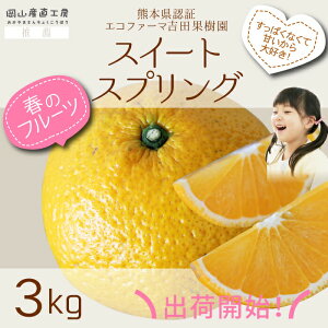 y2{ȍ~\zXC[gXvO gcʎ̂p 3kg TCY[J[̂ߓs F{Y gcʎ  ĂʂJjKȂǃNgo`X