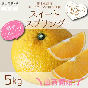 y2{ȍ~\zXC[gXvO gcʎ̂p 5kgTCY[J[̂ߓs@F{Y@gcʎ@ ĂʂJjKȂǃNgo`X