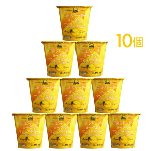 fRW[W[[Og }S[s[ 10Zbg bsOΉ N Ε Ε NX}X v[g Ԃ o^C j Mtg  a 蕨 XC[c 