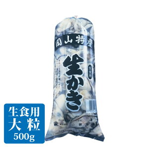 y12{ȍ~\zy Hp ނg 500g I 嗱  RY 3N JL  NNn ՂՂ̊ a NNn kCꕔnzs