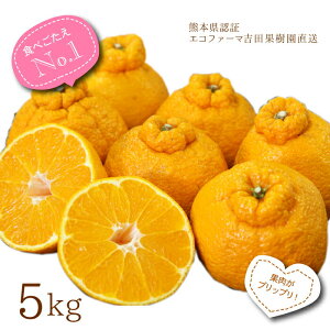 �y4�����{�ȍ~�����\��z�f�R�|�� �󂠂�5kg �������� 15�ʑO��s�m�� �ł��ۂ� ���k �F�{�O�p���� �g�c�ʎ��� �L�삭��G�R�t�@�[�}�F�� �݂��� 4���`5����{ �k�C������ꕔ�n��z���s��