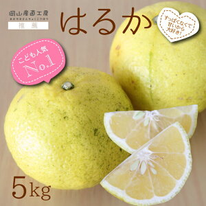 y2{ȍ~\z͂邩 ݂ F{Y 5L k gcʎ p ͂邩5kg TCY  F{^ʍ͔|_@ kCꕔnzs