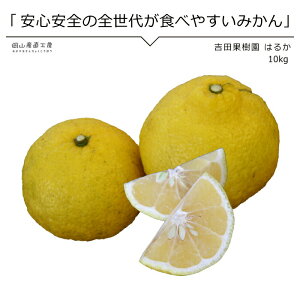 y2{ȍ~\z͂邩 ݂ F{Y 10L k gcʎ p ͂邩10kg TCY  F{^ʍ͔|_@ kCꕔnzs