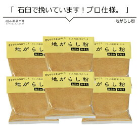 からし 業務用酢味噌屋の味を引き立てる隠し味 地がらし粉 65g 6袋 河野酢味噌工場謹製 西日本 漬物 からし お得なまとめ買い
