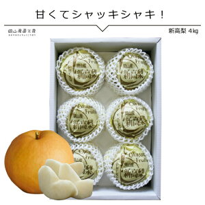 y10{ȍ~\zV4kg 5`6 RYn pōN w_ƒ  Ȃ _ƂĔ { Fȍ