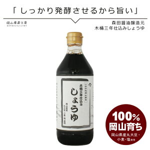 ݖ ۑ哤傤 500ml Xcݖ }ݖ