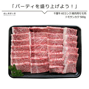 јa  Mtg ē 牮X̓IēMtg gTJN500g kCꕔnzs