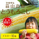 とうもろこし イエロー10本　蒜山高原 スイートコーン トウモロコシ 送料無料 数量限定 夏野菜 北海道沖縄一部地域配送不可