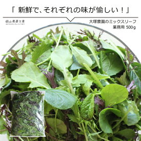 ミックスリーフ大袋500g 単品野菜 岡山県真庭産 大塚農園 サラダ野菜