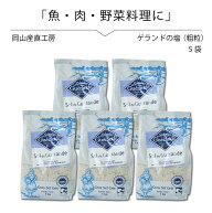 ゲランドの塩 あら塩 1kg × 5袋セット セルマランドゲランド アクアメール 海塩 無添加 無着色 パスタ塩…