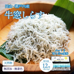 炷 12pbN VR Y F ɏサ炷 R Y Y Mtg 蕨 Ε  v[g   Hi  Zbg ̓ ̓ hV