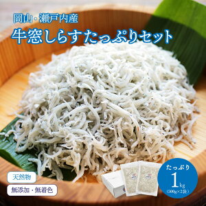 炷ՂZbg1kg 500g×2 蕨 Ε  v[g   Hi  R Y Y Mtg 蕨 i CY 炷 ˓CY ̓ 
