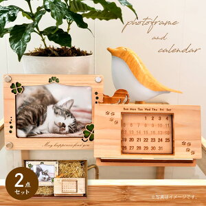 yVizؐtHgt[ؐNJ_[ tHgt[ J_[ ؐ RY 蕨 a Mtg v[g  i Mtg   킢 