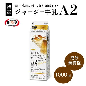 fRW[W[A2 1000ml  R  fRЂ邺Yn   RNZ VN A2 W[W[ywɗvӁzj̏ꍇ