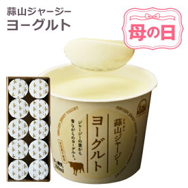 母の日 2026 蒜山ジャージーヨーグルト 10個セット ラッピング対応 蒜山ヨーグルト 健康 御歳暮 食品 食べ物 プレゼント お返し 内祝い 誕生日 贈り物 ギフトスイーツ ジャージー