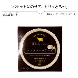 Y`[Y RNƂ܂₩ȃJ}x[`[Y  Cr[̂܂݂ NX}X p[eB fRW[W[J}x[`[Y125g