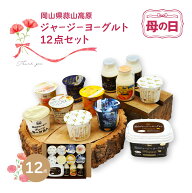 母の日 2026 蒜山ジャージーヨーグルト 12点セット ヨーグルト ギフト プレゼント スイーツ ギフト バレ…