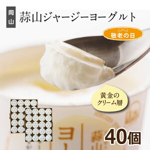 [Og ܂Ƃߔ fRW[W[[Og40 Mtg  bsOΉ N W[W[ Ε  Hi Hו v[g Ԃ j a 蕨 XC[c 