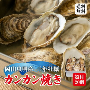 yViE12{ȍ~\zy JJĂ kt20 RY 3N Mp a p NNn JL   l KKĂ yނiCt R kC