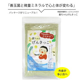 腸活 野菜 ふりかけ 無添加 子供 菌ちゃんげんきっこ 微量栄養素たっぷりふりかけ 海のミネラルと野菜の菌ちゃんパワー ミネラル 発酵 発酵力 食材 凝縮 外食が多い方 腸内環境 送料込み ポスト投函 送料無料