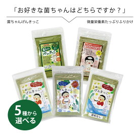 腸活 野菜 ふりかけ 無添加 子供 菌ちゃんげんきっこ 5種から選べる 微量栄養素たっぷりふりかけ 海のミネラルと野菜の菌ちゃんパワー ミネラル 発酵力 食材 凝縮 腸内環境 ノーマル 吸収力強化 オメガ3 グリーン 昆布なし 送料無料