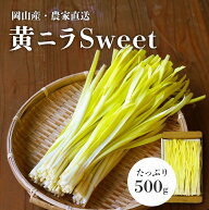 【新商品】黄ニラ 岡山県産 にら ニラ 500g 野菜 おかやま 岡山 特産 高級食材 韮 珍しい 新鮮野菜 おい…