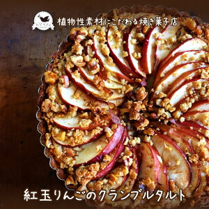 yVizgʂ񂲂̃Nu^g  ^g A[hN[ 蕨 a v[g ̓  i Mtg   킢 Eisgp Y