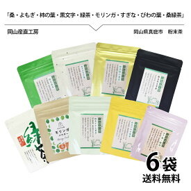 粉末茶 選べる6袋セット 送料無料 国産 健康茶 粉茶 パウダー 農薬不使用 50g メール便 着日時指定不可 乾燥粉末 ノンカフェイン 桑 枇杷 緑茶 クロモジ 桑緑茶 柿の葉 モリンガ スギナ 粉末茶 お茶