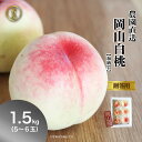 秀品 桃 白桃 岡山白桃 1.5kg前後 4〜6玉 モモ もも momo 贈答用 お中元 ギフト 白鳳 はなよめ 加納岩 おかやま夢白桃 川中島白桃 産直 高級 フルーツ 果物 くだもの プレゼント 美味しい お見舞い お供え 旬 北海道沖縄一部地域配送不可
