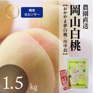 特秀品 桃 白桃 岡山白桃 1.5kg前後 モモ もも momo 贈答 ギフト 加納岩 白鳳 おかやま夢白桃 川中島白桃 白皇 恵白 黄金桃 産直 高級 フルーツ 果物 くだもの プレゼント お見舞い お供え 旬 北海道沖縄一部地域配送不可