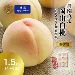 �y5/31�� 400�~OFF�N�[�|���z ���G�i �� ���x�Z���T�[ ���� ���R���� 1.5kg�O�� ���� ���� momo ���� ������ �M�t�g ���[�� ���P ������ܖ����� �쒆������ ���c �b�� ������ �Y�� ���� �t���[�c ��