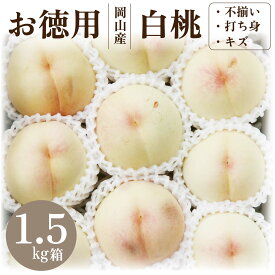 ＼4/30迄 早割500円OFFクーポン／ 訳あり 桃 白桃 岡山白桃 1.5kg前後 お徳用 家庭用 クール冷蔵 キズ ケース 訳アリ もも momo 高級 ギフト プレゼント 御中元 暑中見舞い 黄金桃 フルーツ 果物 くだもの 美味しい 個数指定不可 返品交換不可 北海道沖縄一部地域配送不可