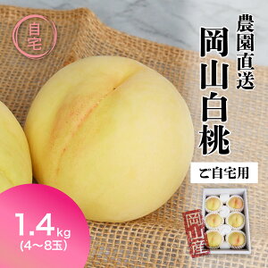 �y3/31�� 600�~OFF�N�[�|���z ������p�������T�C�Y �� ���� ���R���� ���� ���� 1.4kg�O�� �P�[�X ������ �M�t�g ���� momo ���� ������ �t���[�c �ʕ� �������� �������� �i��w��s�� ���w��s