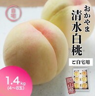 ご自宅用お試しサイズ 桃 白桃 清水白桃 1.4kg前後 お中元 ギフト はくとう 家庭用 クール冷蔵 ケース も…