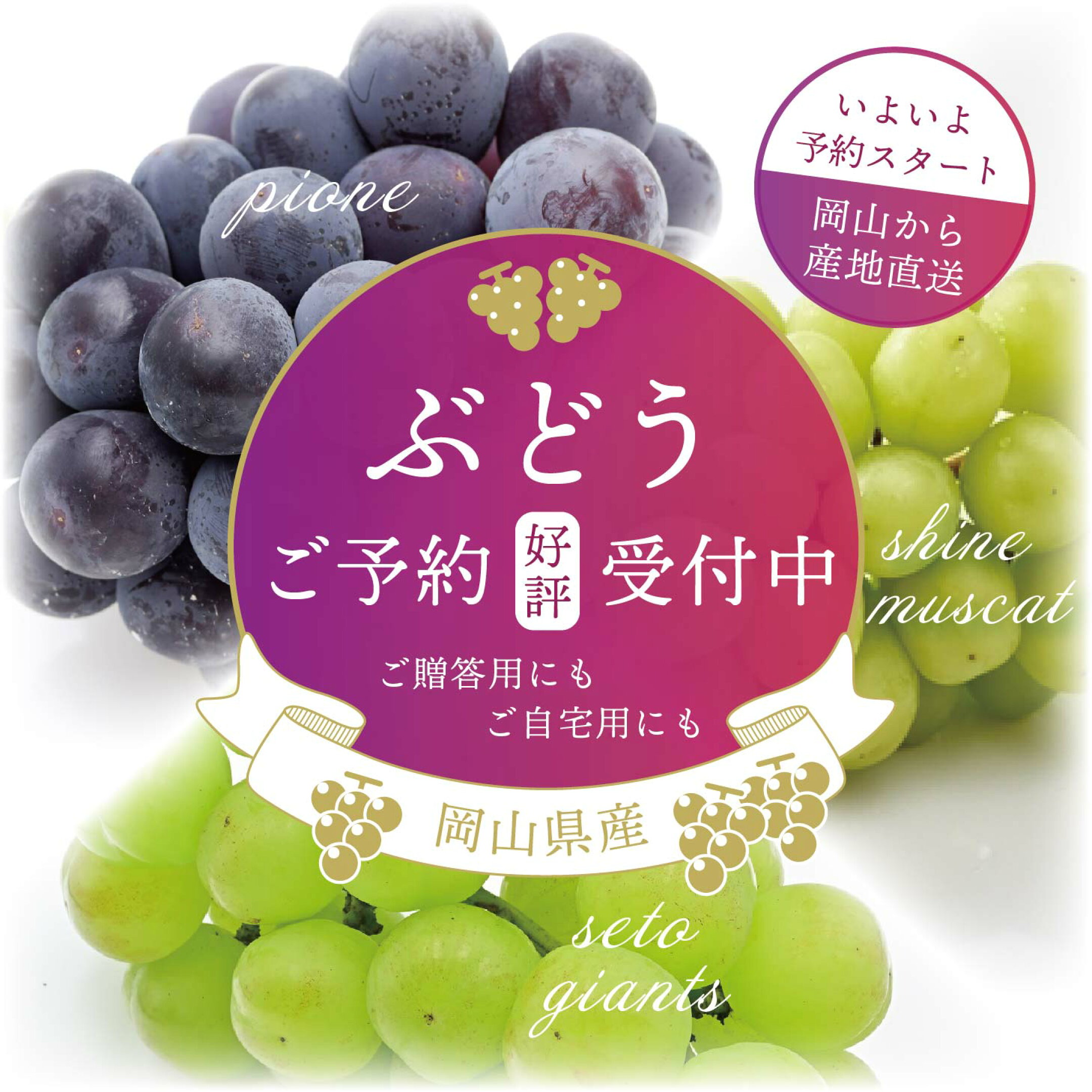 ぶどうご予約受付中