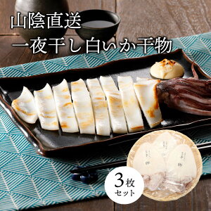 白いか干物 3枚セット 島根県浜田産 白いか ケンサキイカ 3枚セット 山陰直送 贈り物 お歳暮 プレゼント 父の日 お中元 お歳暮 贈答品 お酒の友 送料無料 北海道沖縄一部地域配送不可