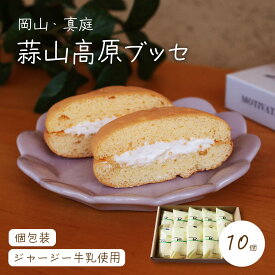 蒜山高原ブッセ 10個入り ブッセ 蒜山高原 ジャージー牛乳 送料無料 蒜山高原 槙本風味堂 贈り物 スイーツ お菓子 ギフト プレゼント お中元 お歳暮 母の日 父の日 敬老の日 贈答品 お礼 洋菓子 北海道沖縄一部地域配送不可