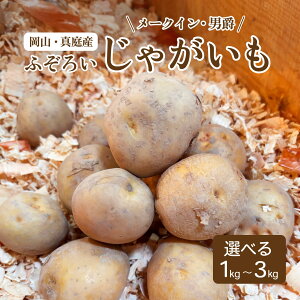 ӂ낢Ⴊ Iׂi [NC j 1kg 2kg 3kg p 󂠂 R^Y Y  WKC Ⴊ  O^ RbP Ⴊ J[ V`[ zNzN 