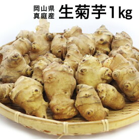 【11月上旬以降発送予定】菊芋 生菊芋 きくいも 1kg イヌリン 菊芋茶 菊芋チップス 菊芋パウダー 国産 生きくいも 生キクイモ キクイモ 糖質制限 ダイエット 腸活 便秘解消 美肌 美容 野菜 健康食品 送料無料 岡山 真庭産 北海道沖縄一部地域配送不可