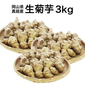 【11月上旬以降発送予定】菊芋 生菊芋 きくいも 3kg イヌリン 菊芋茶 菊芋チップス 菊芋パウダー 国産 生きくいも 生キクイモ キクイモ 糖質制限 ダイエット 腸活 便秘解消 美肌 美容 野菜 健康食品 送料無料 岡山 真庭産 北海道沖縄一部地域配送不可 (yasai320)