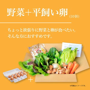 날؃Zbg ؃Zbg  Iׂ闑t lߍ킹 _ 7`8i Mtg lZbg ߂ R^sY RY ₳ H yfW[X ؔ̔ kC