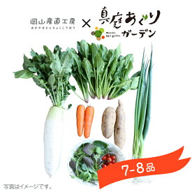 楽天市場 岡山 野菜セットの通販