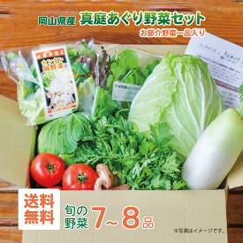 真庭あぐり野菜セット 野菜セット 送料無料 選べる卵付き 詰め合わせ 農家 7～8品 ギフト お試し少人数セット おためし野菜 岡山県真庭市産 岡山産 やさい 離乳食 酵素ジュース 野菜販売 北海道沖縄一部地域配送不可