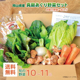 真庭あぐり野菜セット 野菜セット 送料無料 詰め合わせ 選べる野菜セット 選べる卵付き 平飼い卵 ギフト 野菜 セット カット野菜が1品入る10～11品 野菜詰め合わせ 野菜 お節介野菜 お試し少人数セット 岡山県真庭市産 岡山産北海道沖縄一部地域配送不可