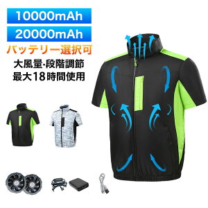 y30OFFN[|zzyVX[p[SALEz󒲍ƕ  20000mahobe[   Zbg t@tƕ ėpƕ MǑ΍ Ăh~  󒲃EGA GAR 
