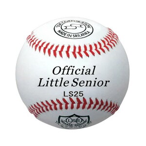 GXGXPC SSK gEVjA[O  d d 12 싅 싅pi  ls25