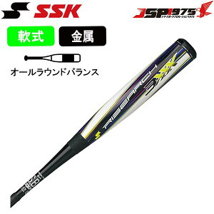ssk バット ライズアーチ 野球の人気商品・通販・価格比較 - 価格.com